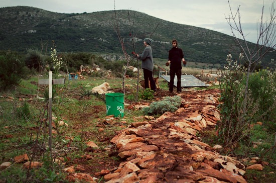 We’ve been building the path for the past week.