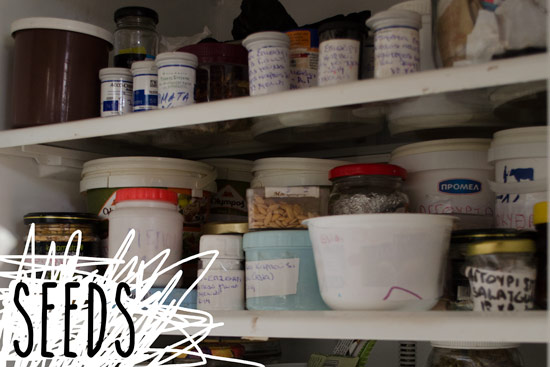 This fridge doesn’t have food, but it has seeds to grow food.