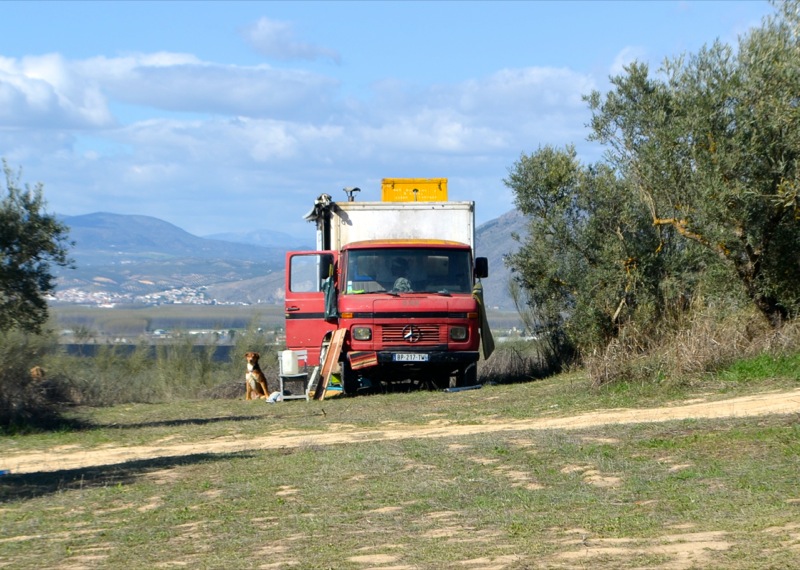 Dragon festival 2014
