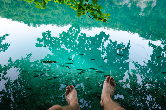 plitvicka-croatia-clear-water-fish