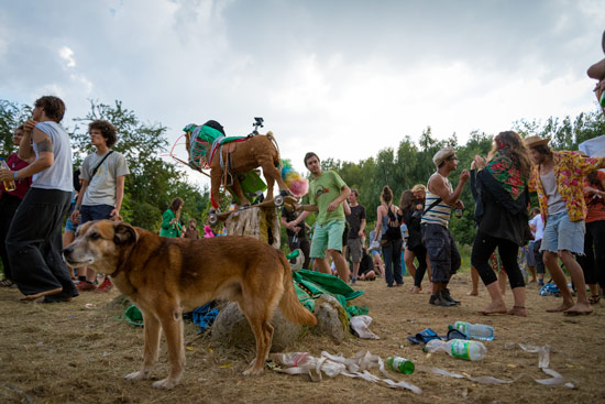 camp-tipsy-berlin-party-party-dog