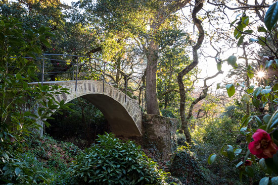 sintra-portugal-pena-garden-bridge-forest