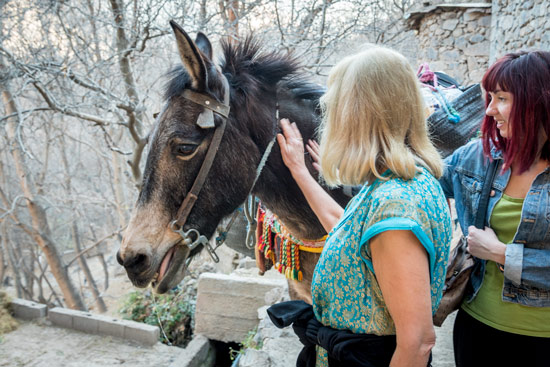 morocco-by-campervan-mountains-walk-imlil-17