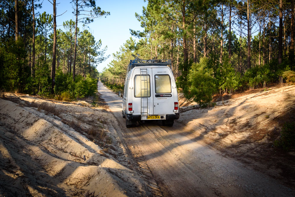Driving through pine forest in Portugal