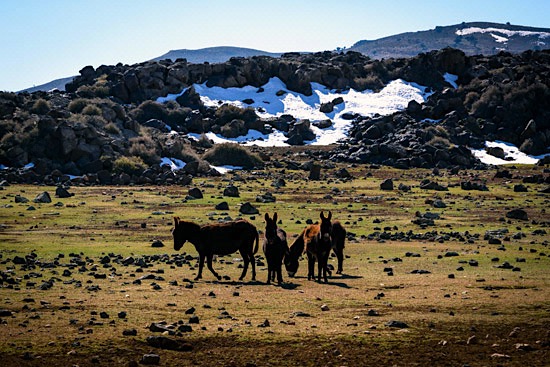 middle-atlas-lake-morocco-campervan-5