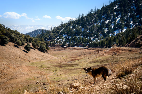 middle-atlas-lake-morocco-campervan-9