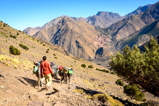 reasons-to-come-to-morocco-campervan-mountains