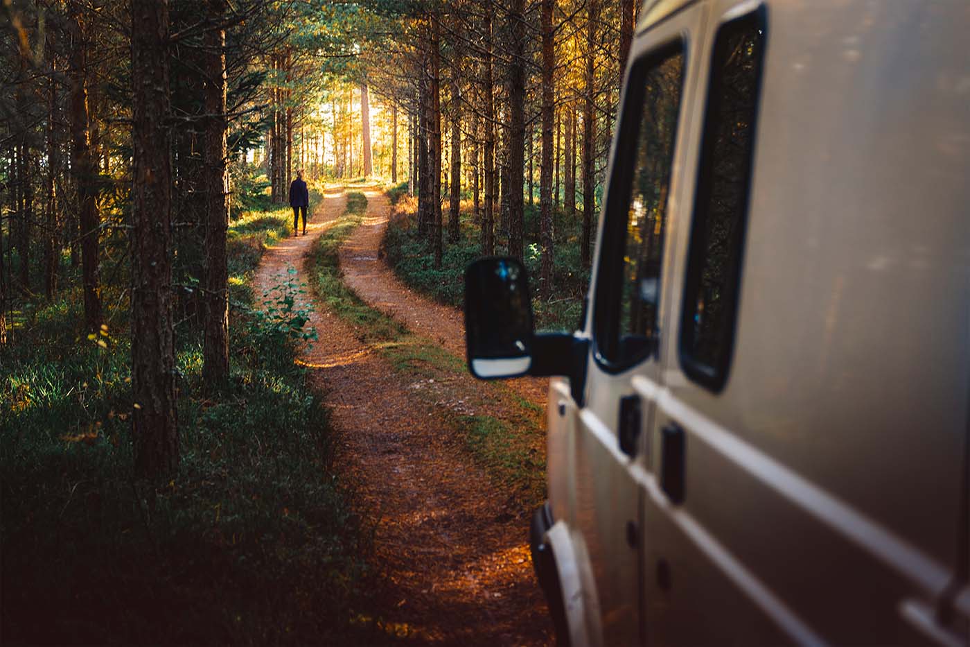 driving into the swedish woodland to camp in a van