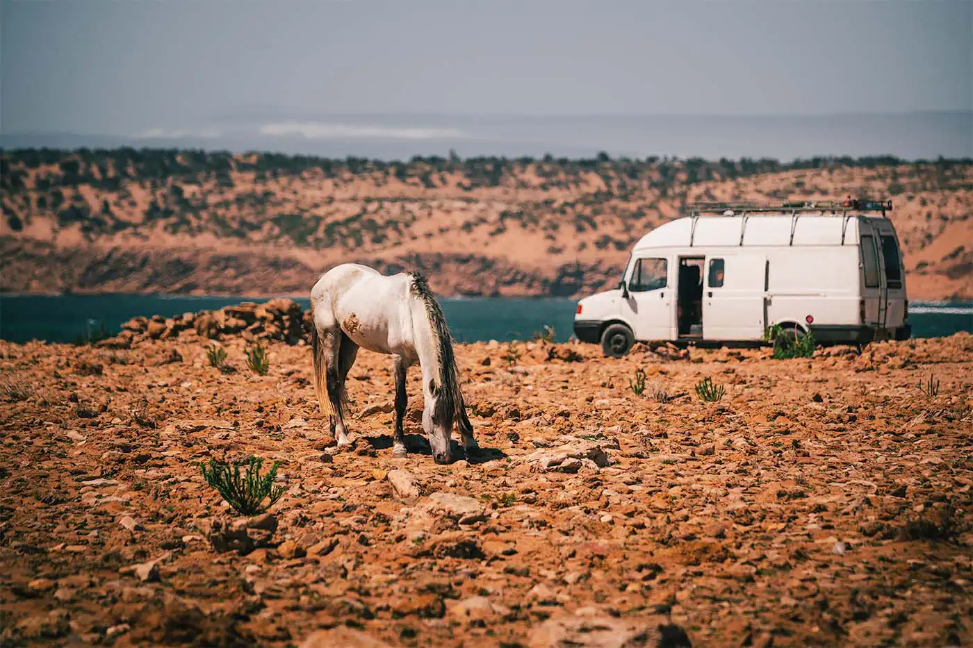 campervan on wild coastline of Sidi Kaouki in Morocco. Horse in foreground